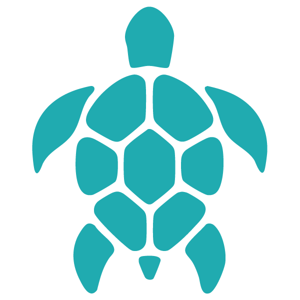Akumal Beachfront Condo - Nido de Tortuga - Turtle Nest Logo